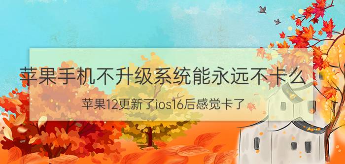 苹果手机不升级系统能永远不卡么 苹果12更新了ios16后感觉卡了？